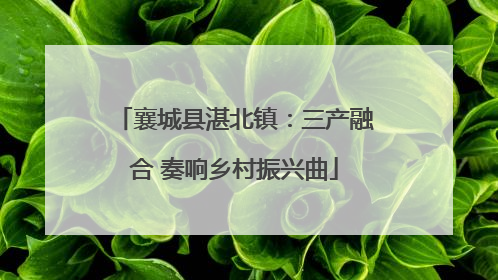 襄城县湛北镇：三产融合 奏响乡村振兴曲