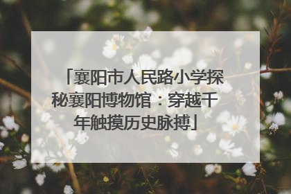 襄阳市人民路小学探秘襄阳博物馆：穿越千年触摸历史脉搏