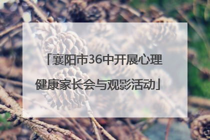 襄阳市36中开展心理健康家长会与观影活动