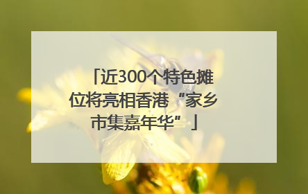 近300个特色摊位将亮相香港“家乡市集嘉年华”