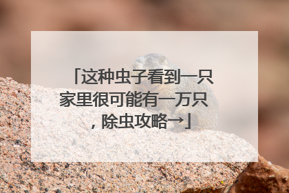 这种虫子看到一只家里很可能有一万只，除虫攻略→