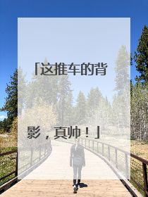 这推车的背影，真帅！