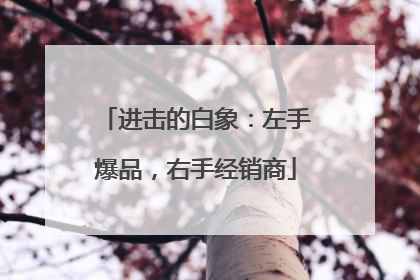 进击的白象：左手爆品，右手经销商