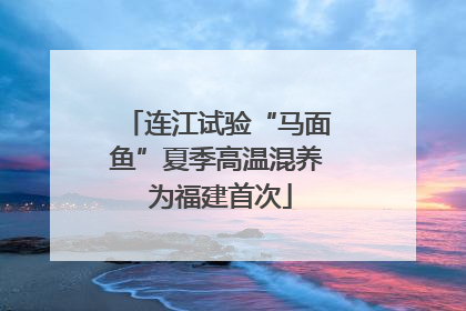 连江试验“马面鱼”夏季高温混养 为福建首次