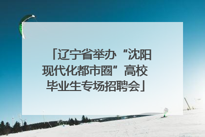辽宁省举办“沈阳现代化都市圈”高校毕业生专场招聘会