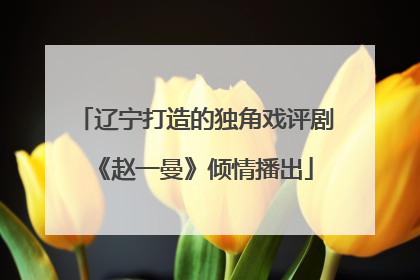 辽宁打造的独角戏评剧《赵一曼》倾情播出