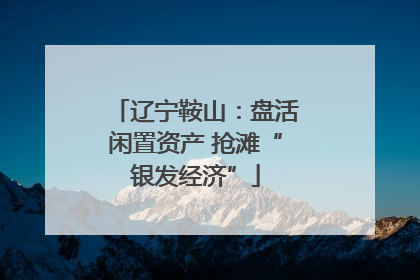 辽宁鞍山：盘活闲置资产 抢滩“银发经济”