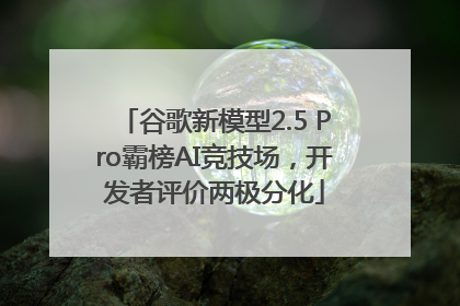 谷歌新模型2.5 Pro霸榜AI竞技场，开发者评价两极分化