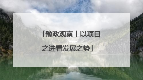 豫政观察丨以项目之进看发展之势