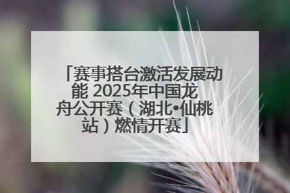 赛事搭台激活发展动能 2025年中国龙舟公开赛（湖北•仙桃站）燃情开赛