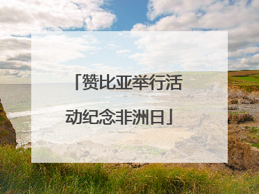 赞比亚举行活动纪念非洲日