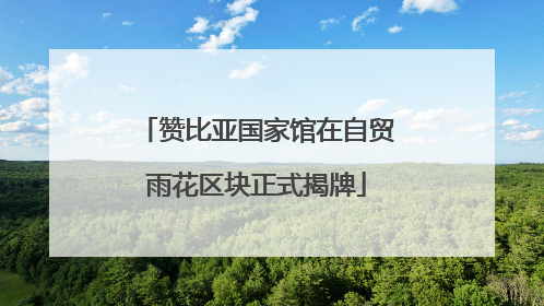 赞比亚国家馆在自贸雨花区块正式揭牌