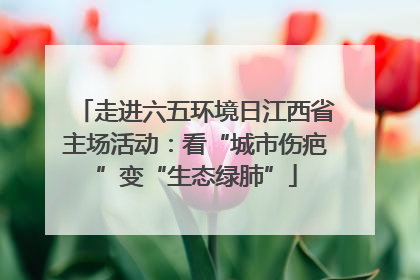 走进六五环境日江西省主场活动：看“城市伤疤”变“生态绿肺”