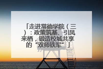 走进常德学院（三）：政策筑基、引凤来栖，锻造校城共享的“双师铁军”
