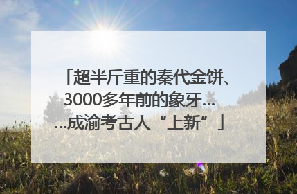 超半斤重的秦代金饼、3000多年前的象牙……成渝考古人“上新”