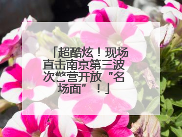 超酷炫！现场直击南京第三波次警营开放“名场面”！