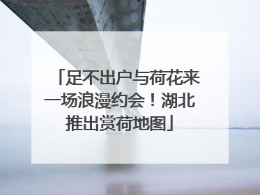 足不出户与荷花来一场浪漫约会！湖北推出赏荷地图