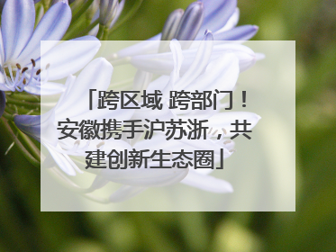 跨区域 跨部门！安徽携手沪苏浙，共建创新生态圈