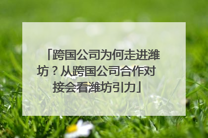 跨国公司为何走进潍坊？从跨国公司合作对接会看潍坊引力