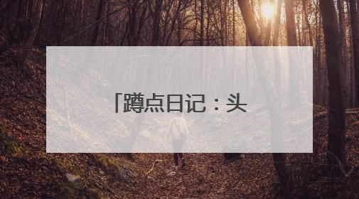 蹲点日记：头部航运企业为何聚集此地？
