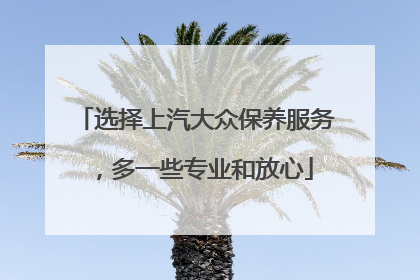 选择上汽大众保养服务，多一些专业和放心
