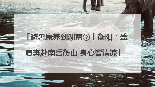 避暑康养到湖南②丨衡阳：盛夏奔赴南岳衡山 身心皆清凉
