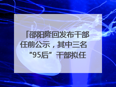 邵阳隆回发布干部任前公示，其中三名“95后”干部拟任副科级领导，均系硕士选调生
