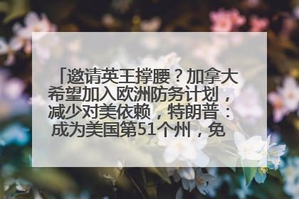 邀请英王撑腰？加拿大希望加入欧洲防务计划，减少对美依赖，特朗普：成为美国第51个州，免费用“金穹”