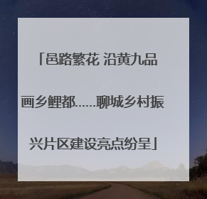 邑路繁花 沿黄九品 画乡鲤都……聊城乡村振兴片区建设亮点纷呈