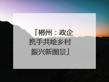 郴州：政企携手共绘乡村振兴新图景