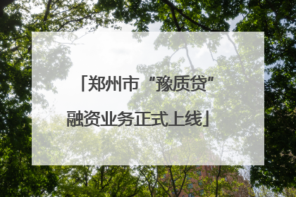 郑州市“豫质贷”融资业务正式上线
