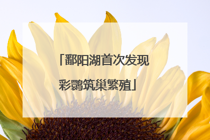 鄱阳湖首次发现彩鹮筑巢繁殖
