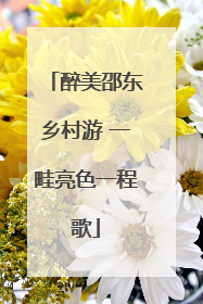 醉美邵东乡村游 一畦亮色一程歌