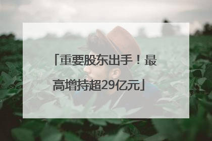 重要股东出手！最高增持超29亿元
