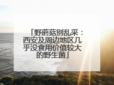 野蘑菇别乱采：西安及周边地区几乎没食用价值较大的野生菌