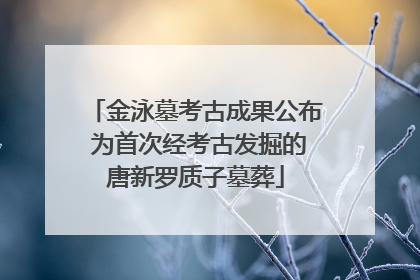 金泳墓考古成果公布 为首次经考古发掘的唐新罗质子墓葬