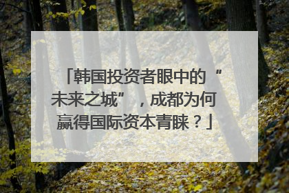 韩国投资者眼中的“未来之城”，成都为何赢得国际资本青睐？