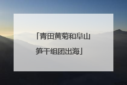 青田黄菊和阜山笋干组团出海
