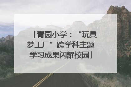 青园小学：“玩具梦工厂”跨学科主题学习成果闪耀校园