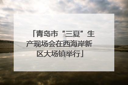 青岛市“三夏”生产现场会在西海岸新区大场镇举行