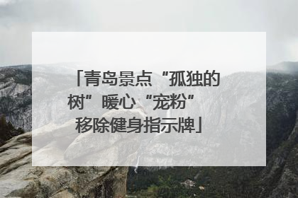 青岛景点“孤独的树”暖心“宠粉” 移除健身指示牌