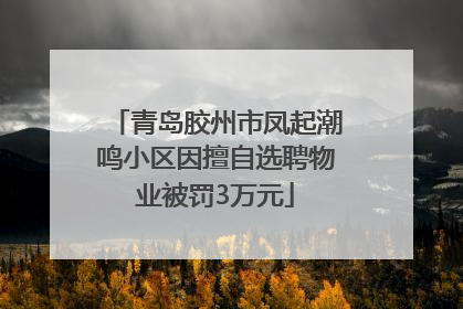青岛胶州市凤起潮鸣小区因擅自选聘物业被罚3万元