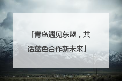 青岛遇见东盟，共话蓝色合作新未来