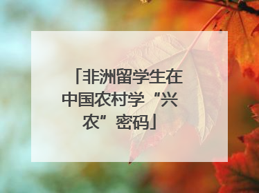 非洲留学生在中国农村学“兴农”密码