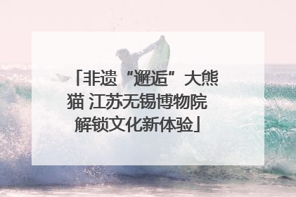 非遗“邂逅”大熊猫 江苏无锡博物院解锁文化新体验