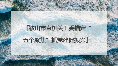鞍山市直机关工委锚定“五个聚焦”抓党建促振兴