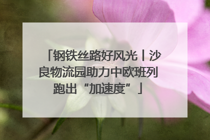 钢铁丝路好风光丨沙良物流园助力中欧班列跑出“加速度”