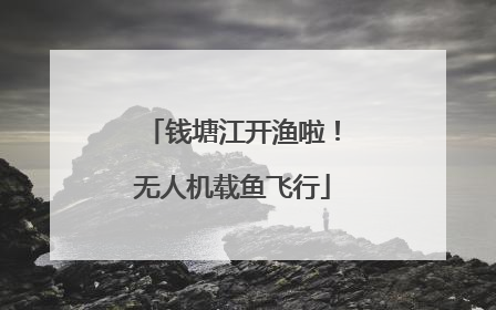 钱塘江开渔啦！无人机载鱼飞行