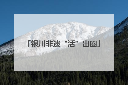 银川非遗“活”出圈