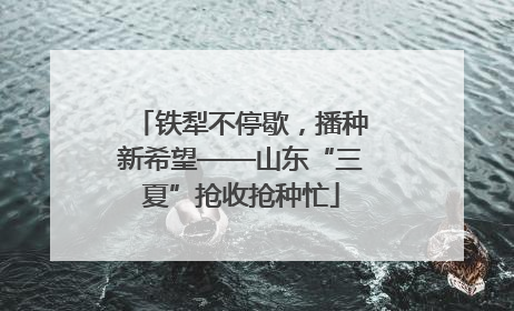 铁犁不停歇，播种新希望——山东“三夏”抢收抢种忙